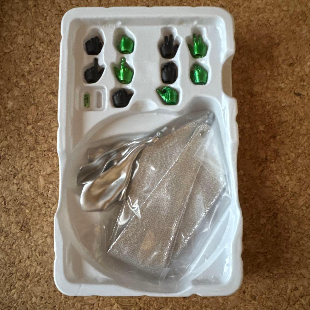 S.H.Figuarts 真骨彫製法 仮面ライダーW 風都探偵 ジャンク品