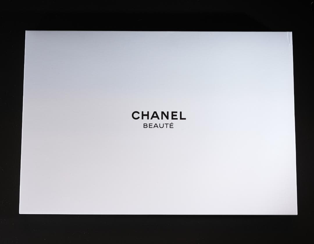 CHANEL ノベルティ ノートPCケース