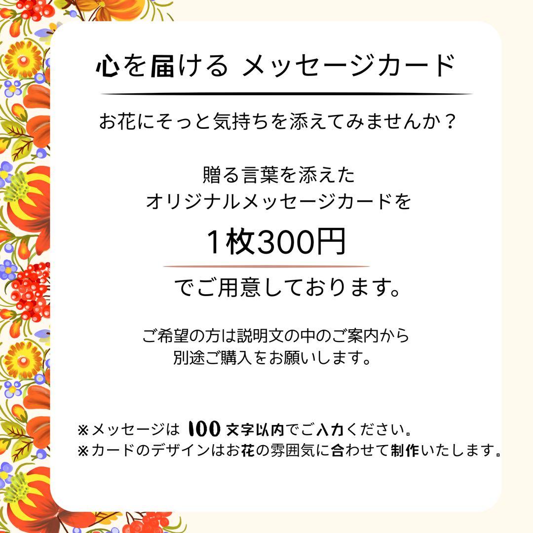 【特大100cm】新年を寿ぐ 豪華絢爛しめ縄リース・しめ飾り 商業用しめ縄