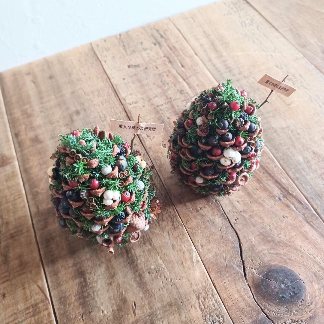 新品 未使用 ドライフラワー ツリー 木の実 松ぼっくり Mサイズ