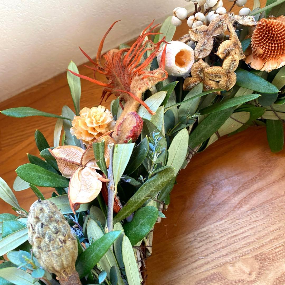 オリーブとユーカリの珍しい木の実のリース