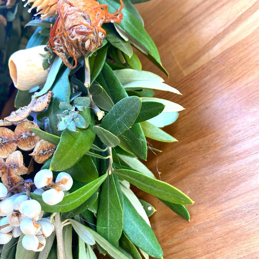 オリーブとユーカリの珍しい木の実のリース