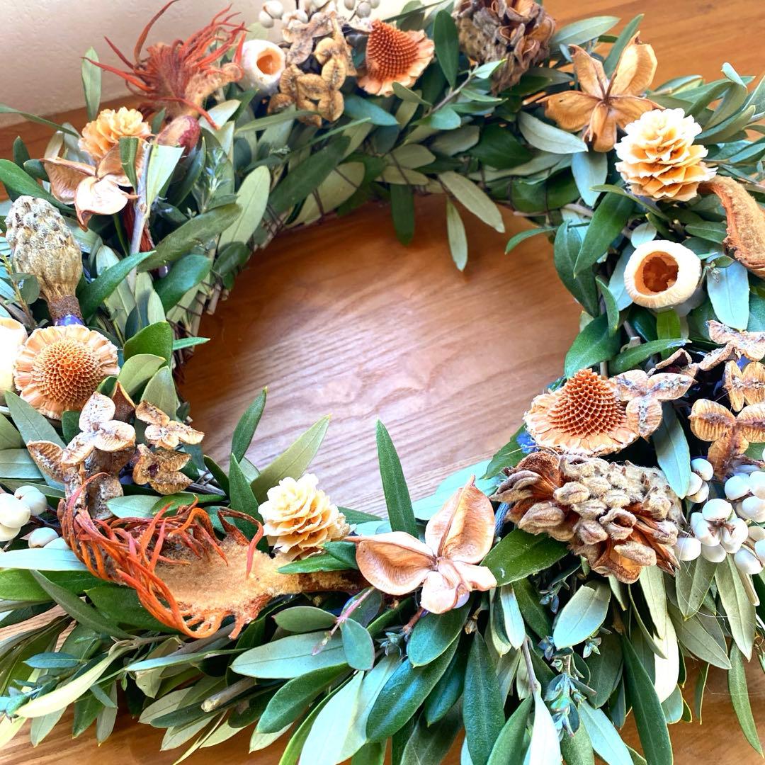 オリーブとユーカリの珍しい木の実のリース