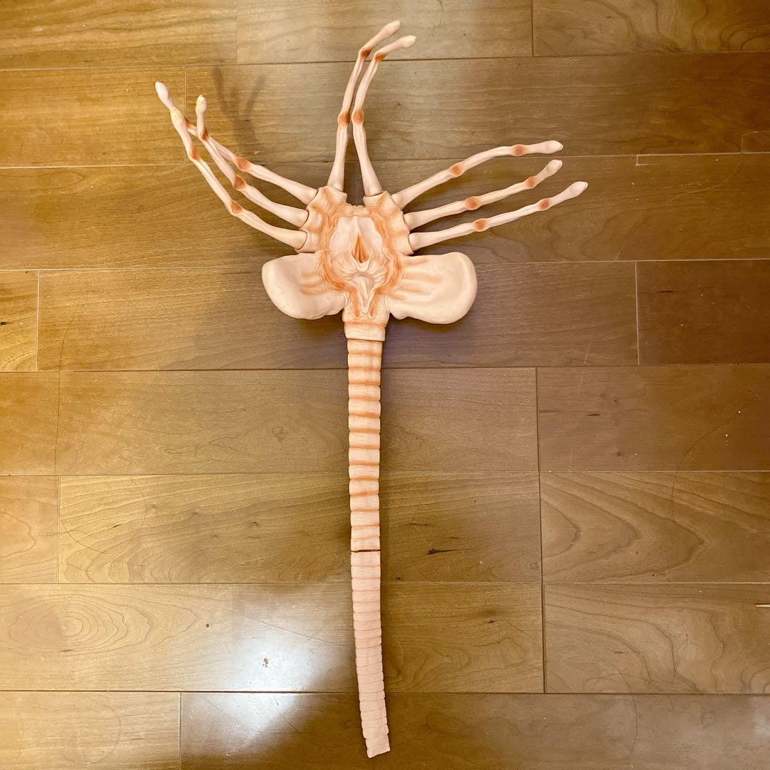 【訳アリ】フェイスハガー 1/1 プロップレプリカ エイリアン Alien 映画