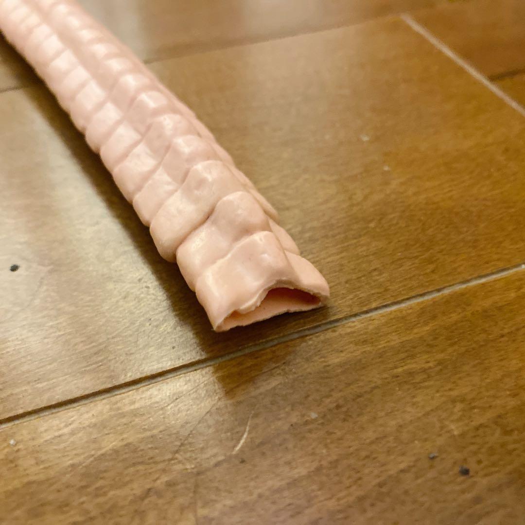 【訳アリ】フェイスハガー 1/1 プロップレプリカ エイリアン Alien 映画