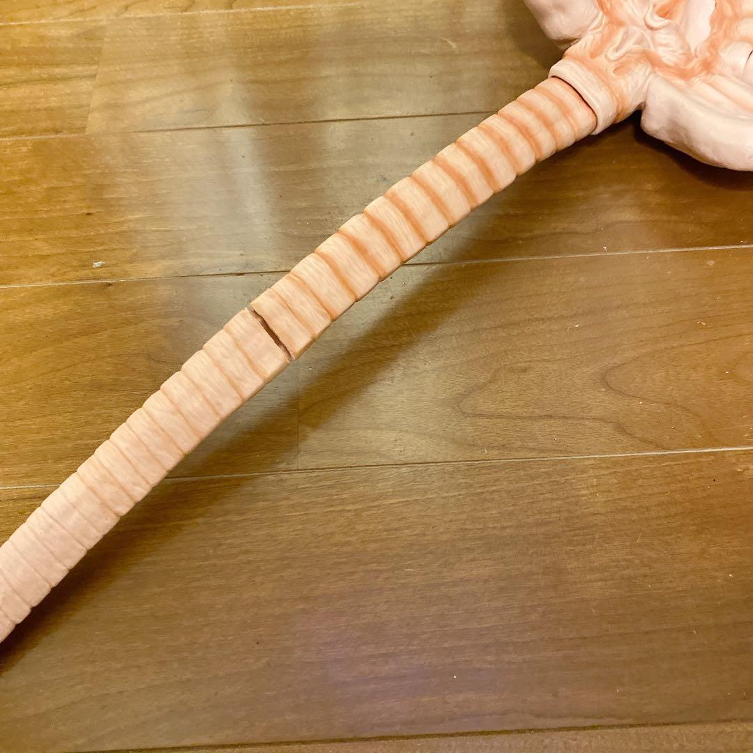 【訳アリ】フェイスハガー 1/1 プロップレプリカ エイリアン Alien 映画