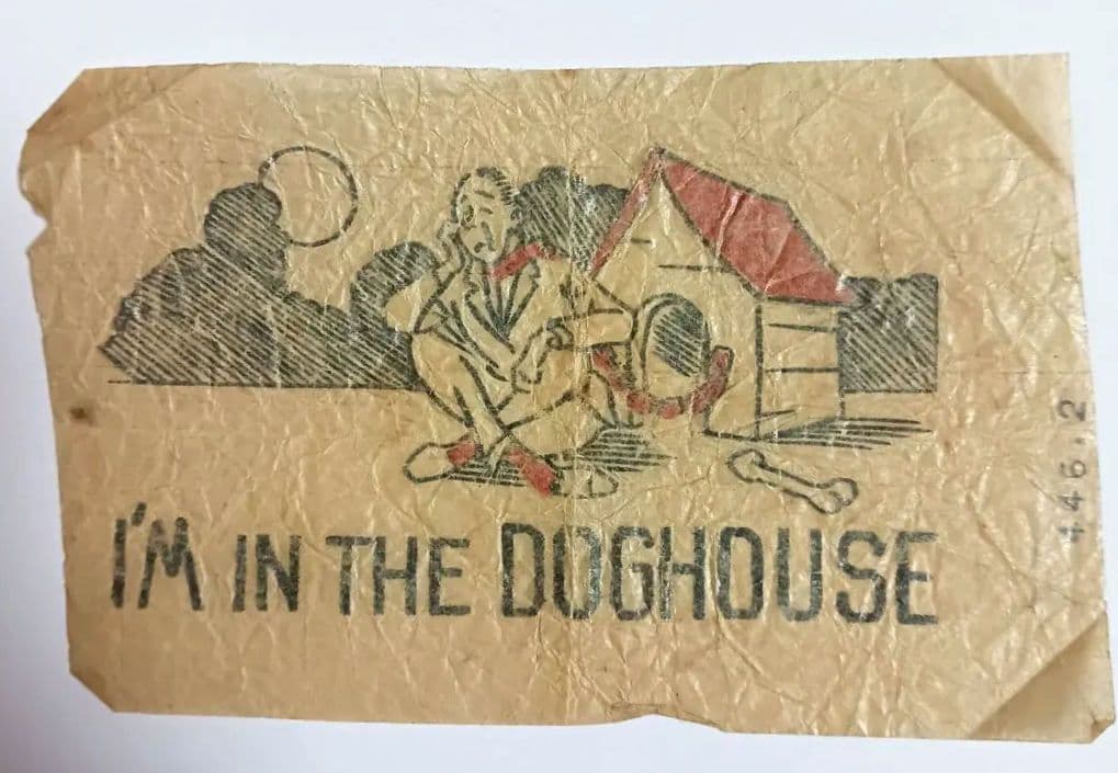 50s I'M IN THE DOGHOUSE ビンテージ転写紙アイロンプリント