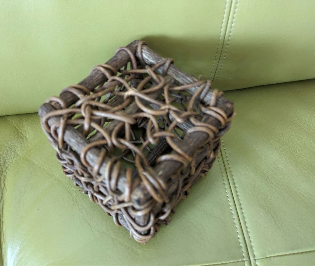 アケビ☆2点おまとめ