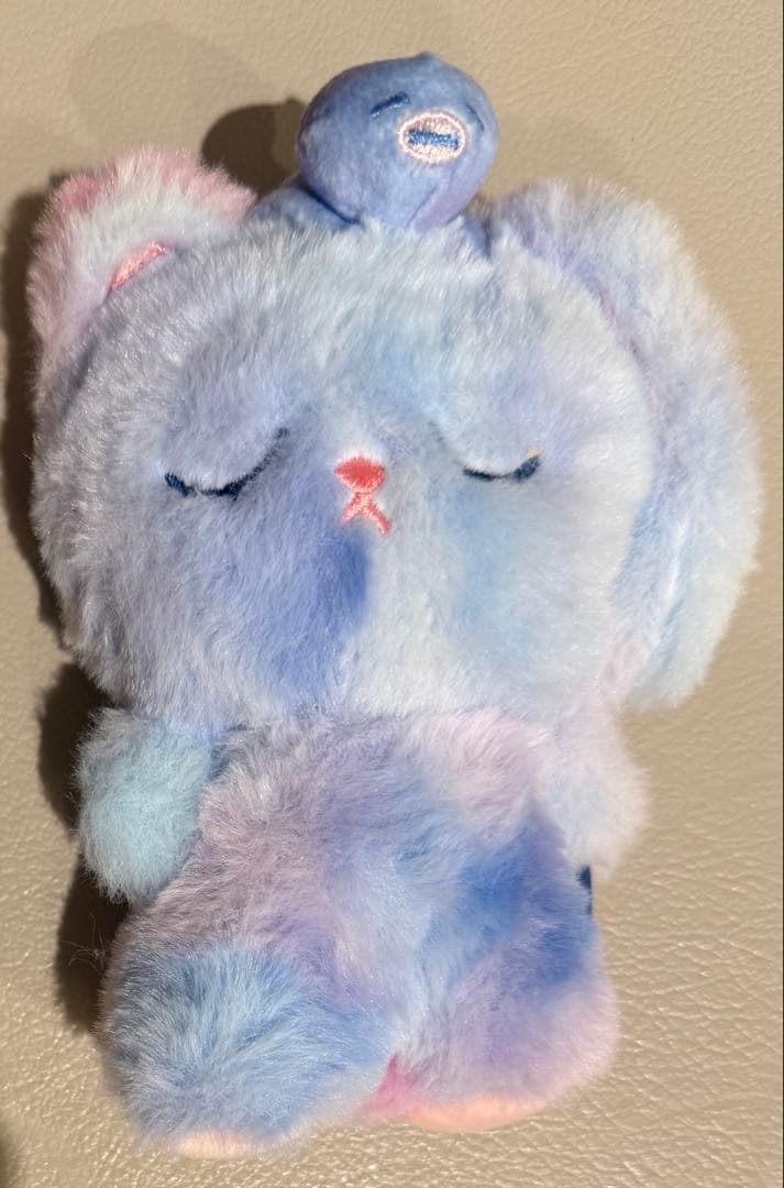 RIIZE ウォンビン ボイス キーリング A ver.