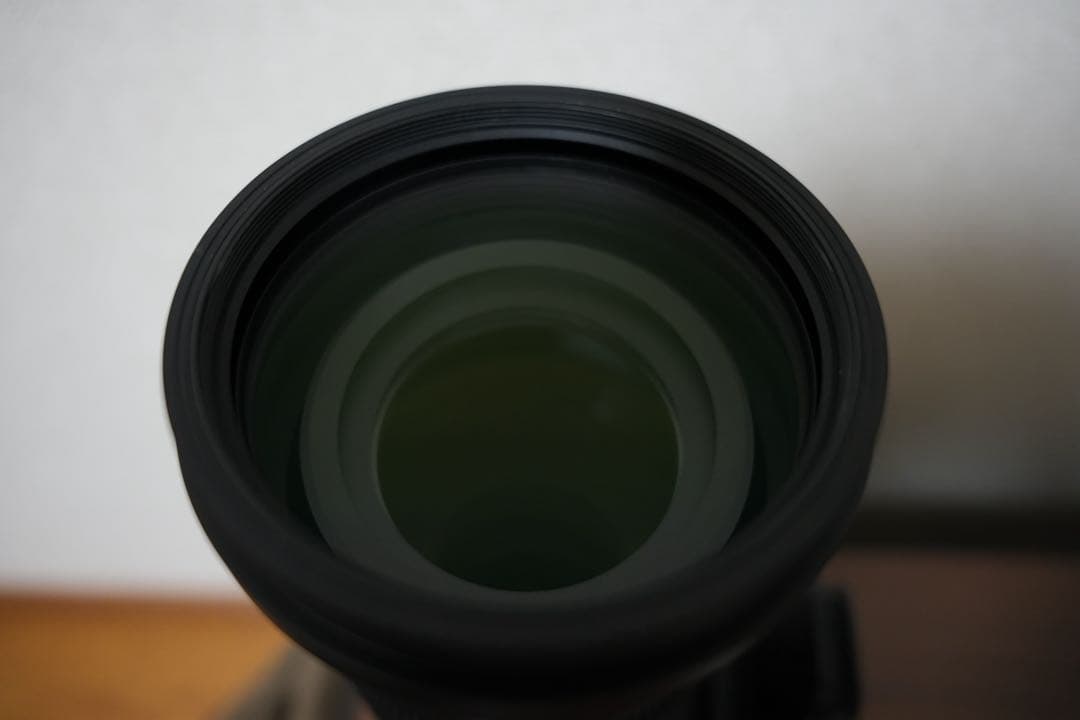 SIGMA 150-600mm F5-6.3 DG DN OS Eマウント