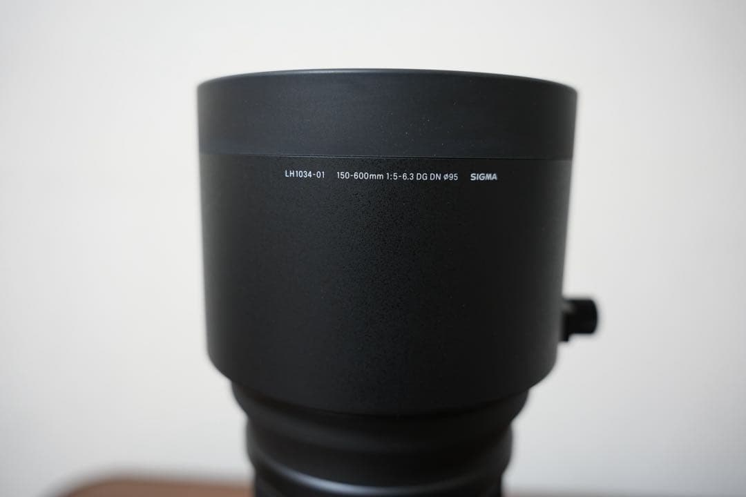 SIGMA 150-600mm F5-6.3 DG DN OS Eマウント