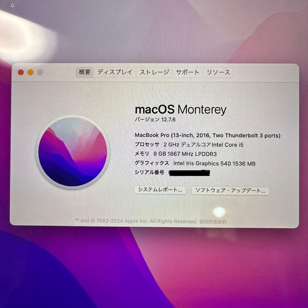 MacBook本体 MacBook Pro 13-inch,2016 8GB