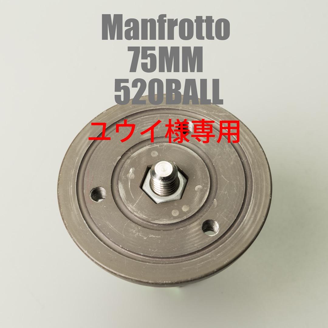 GITZO ヘッドプレート & Manfrotto 75MM 520BALL
