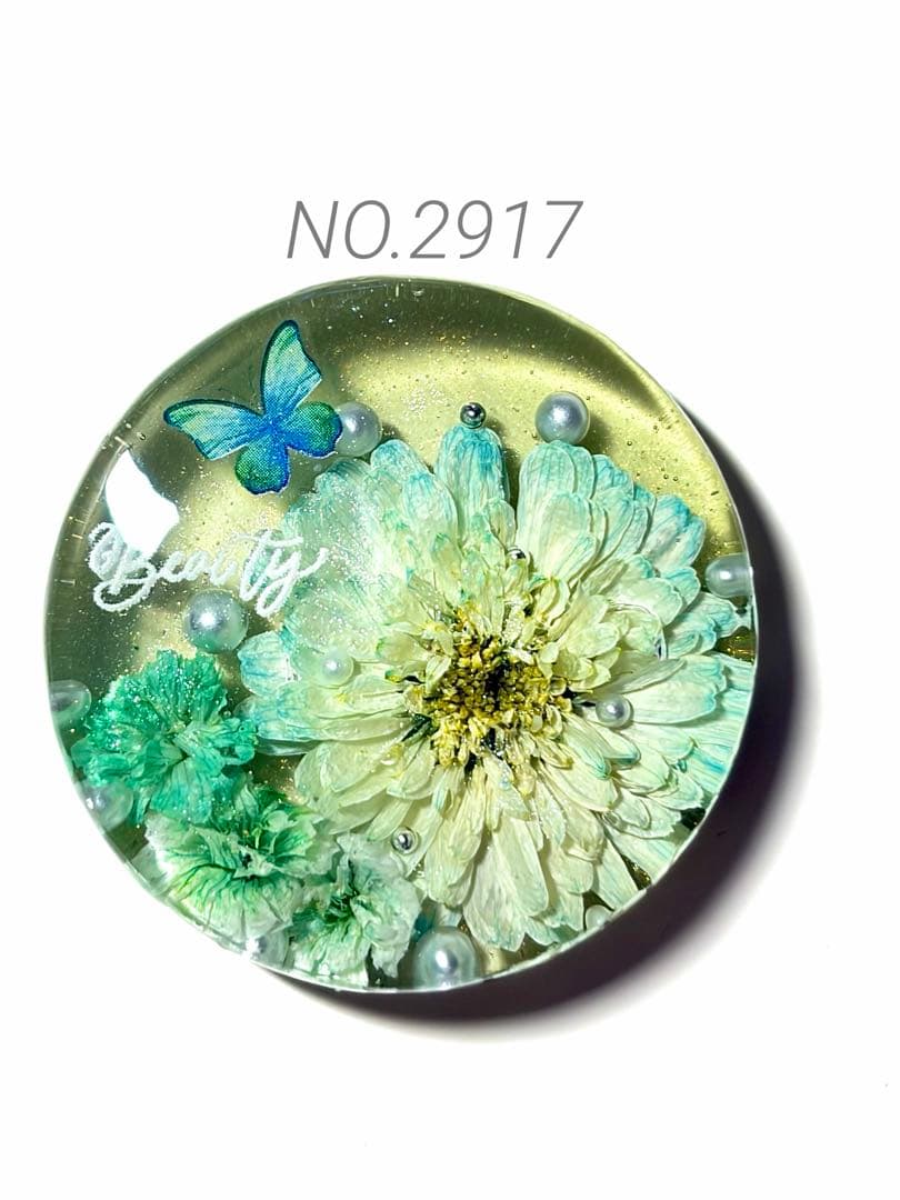 NO.2917淡緑な華˚✧₊⁎⁺˳✧༚ドライフラワー　レジンヘアゴム　ブローチ