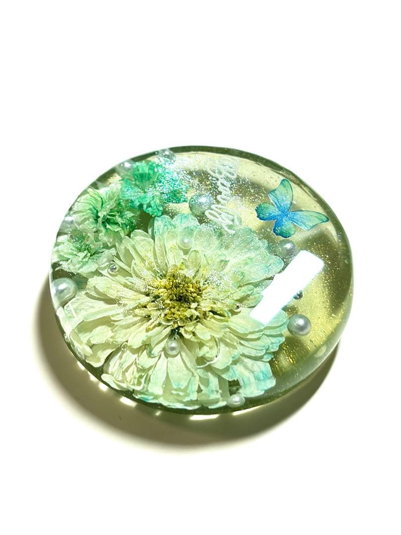 NO.2917淡緑な華˚✧₊⁎⁺˳✧༚ドライフラワー　レジンヘアゴム　ブローチ