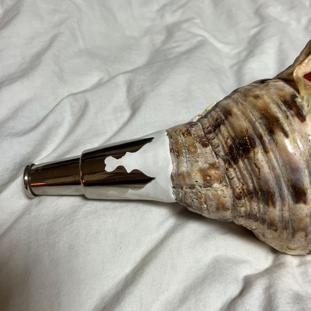 法螺貝　肉厚　置物　吹奏楽