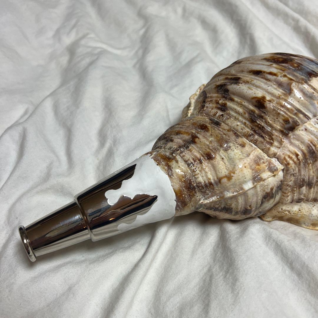 法螺貝　肉厚　置物　吹奏楽