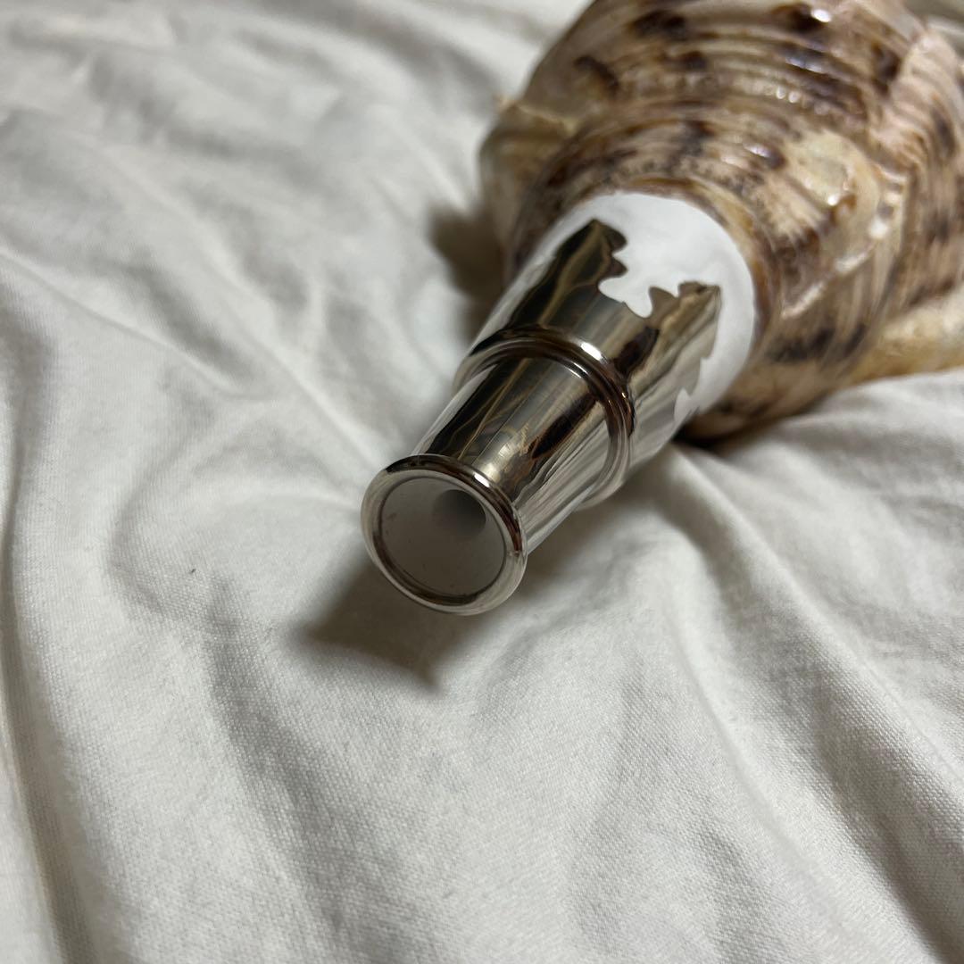 法螺貝　肉厚　置物　吹奏楽