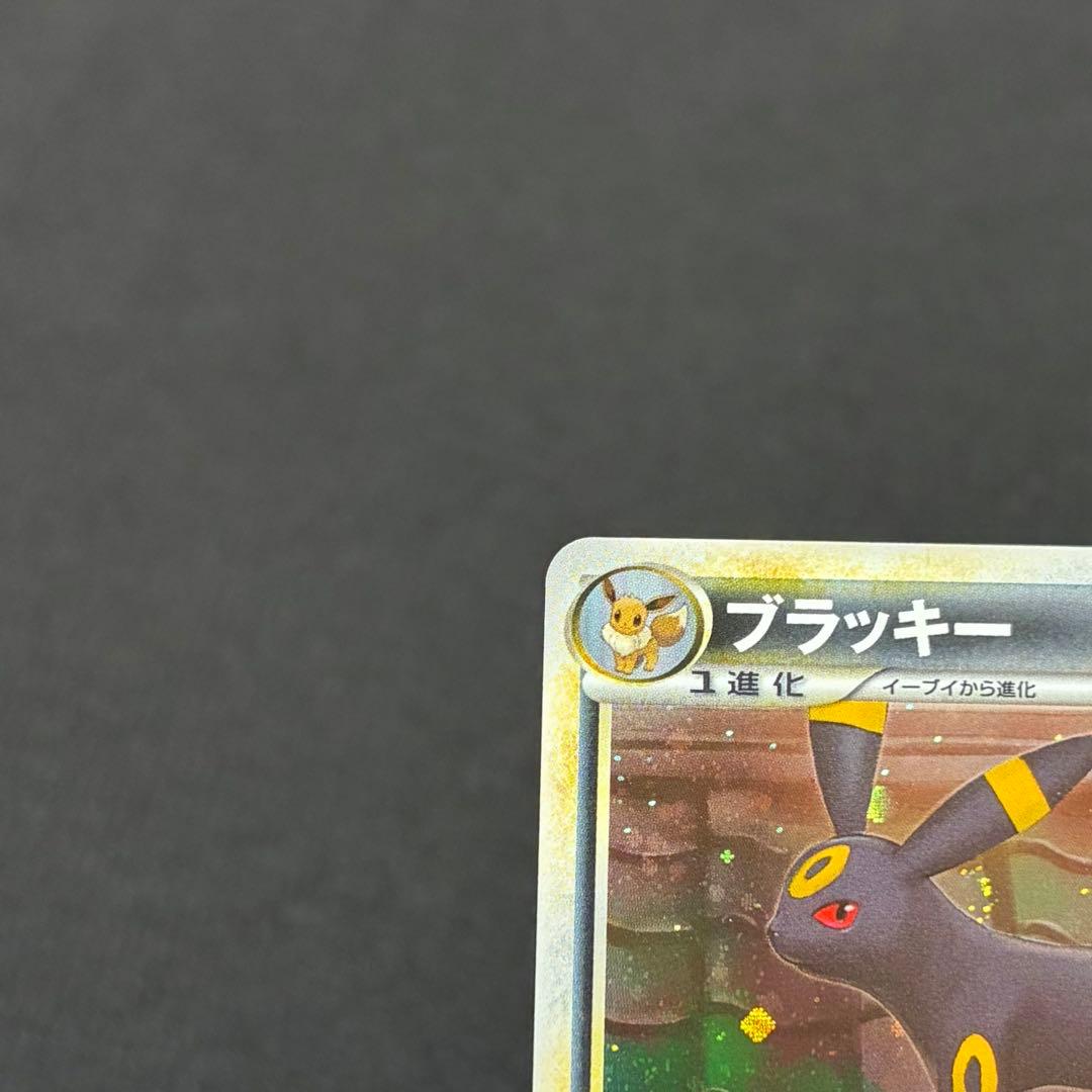 15/0561 極美品 ブラッキー L2 037/080