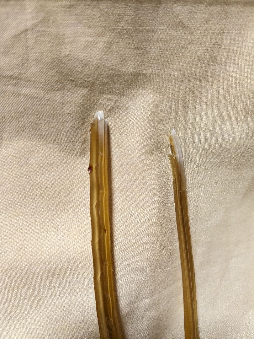 吉祥　顔彩24色セット、玄林堂　青玄・膠・筆2本