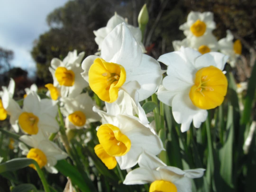 実写美⭕️【動作確認済】FUJIFILM FINEPIX Z80 ピンク