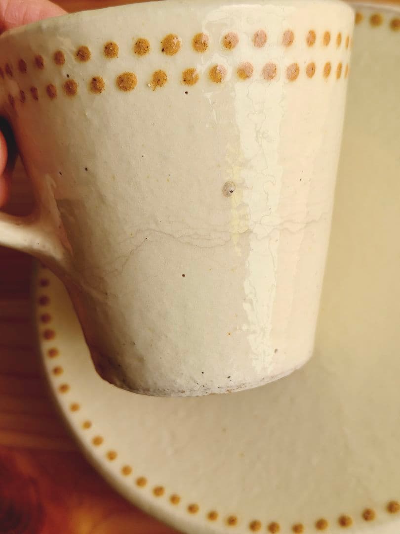 舩木研兒 コーヒー碗皿 カップ&ソーサー　船木　研児