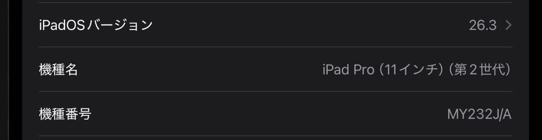 iPad Pro 11インチ 第2世代 128GB Wi-Fi スペースグレイ