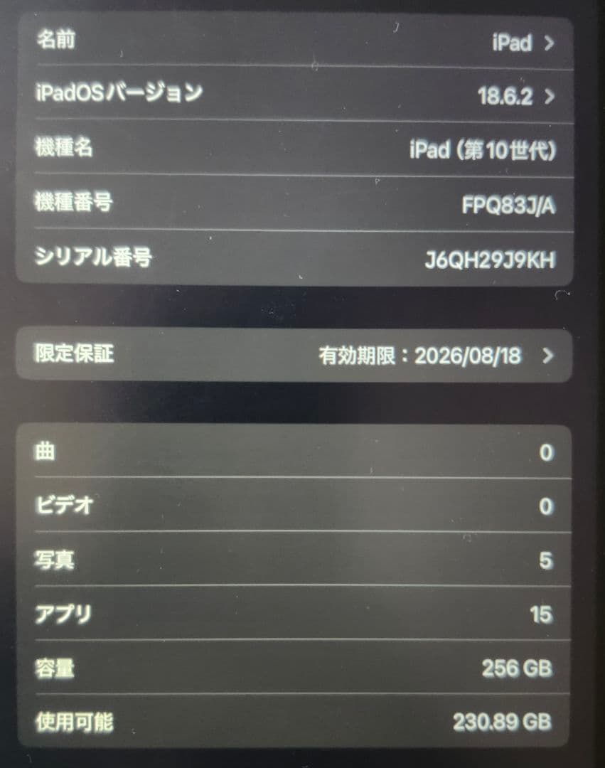 保証26年8月 iPad第10世代256GBペン付