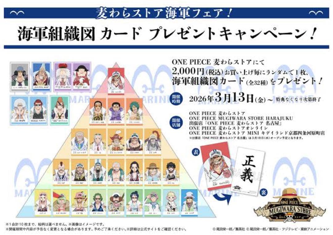 ワンピース 麦わらストア 特典 海軍 海軍組織図カード　コンプリート 32種類