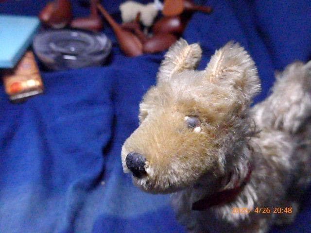 50年代のシュタイフの犬のぬいぐるみです。貴重です