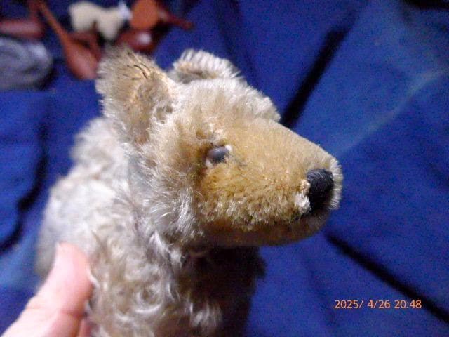 50年代のシュタイフの犬のぬいぐるみです。貴重です