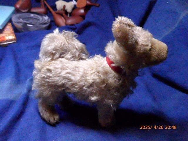 50年代のシュタイフの犬のぬいぐるみです。貴重です