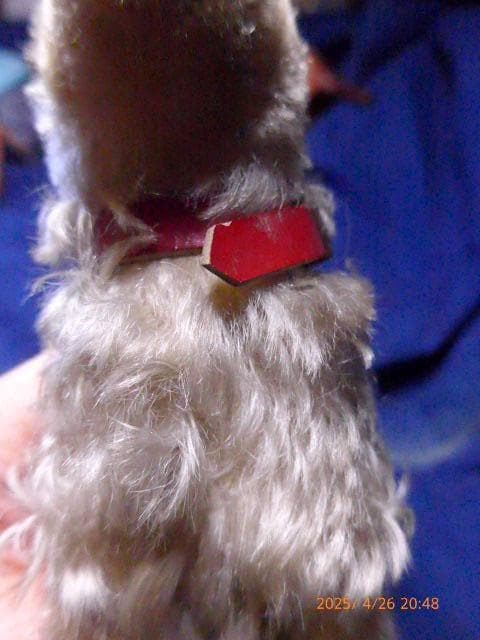 50年代のシュタイフの犬のぬいぐるみです。貴重です