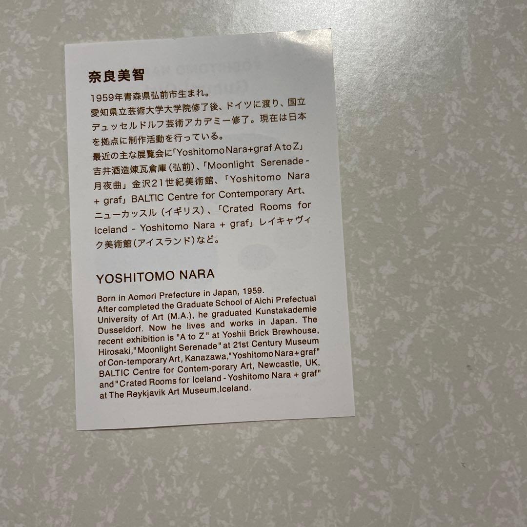 奈良美智　グミガール　オランジェリー　Gummi Girl ケース オレンジ