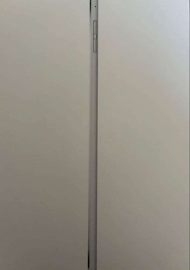 iPad本体 iPad mini 4 wi-Fi+Cellular