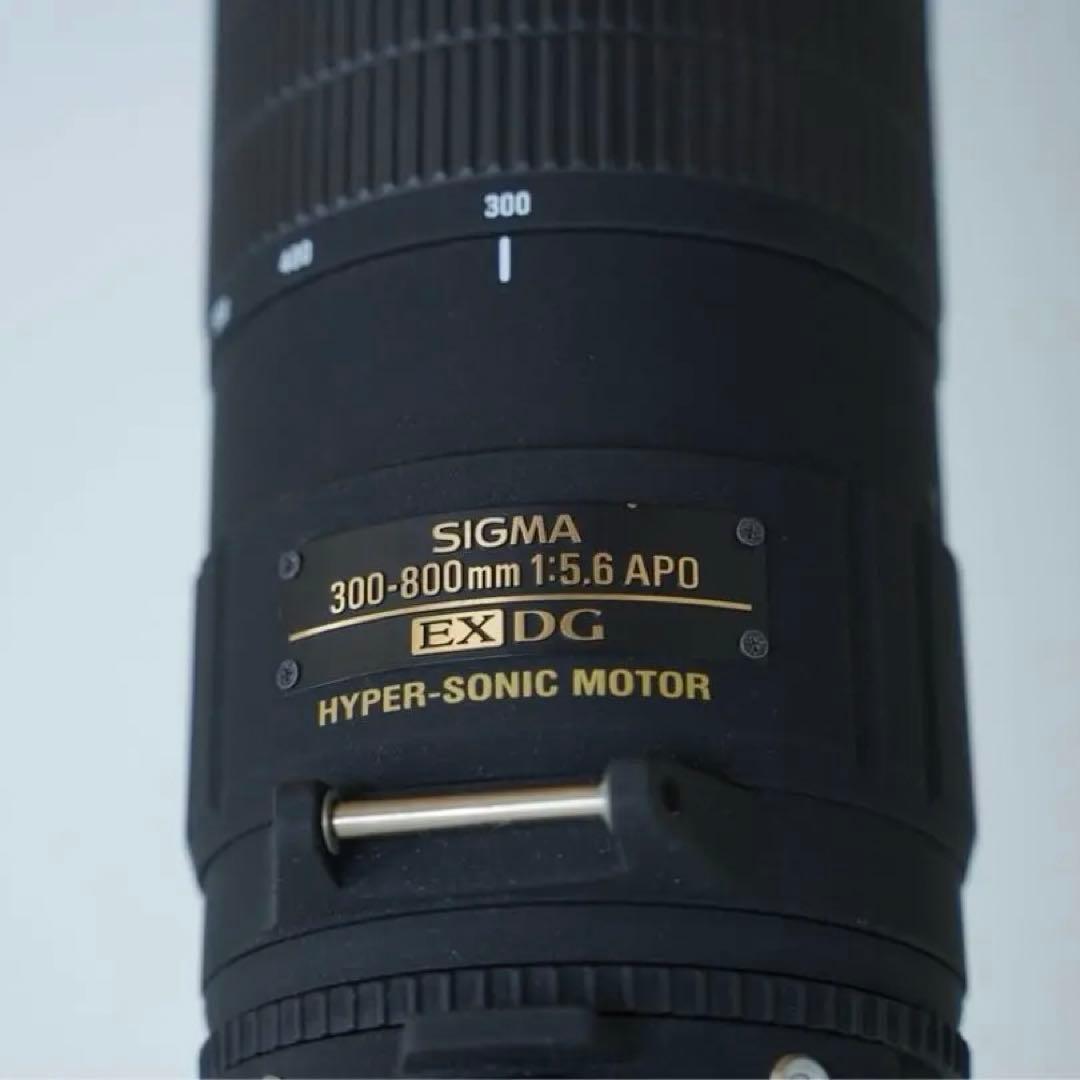 【貴重】SIGMA シグマ 超望遠ズームレンズ 300-800 Canon EF