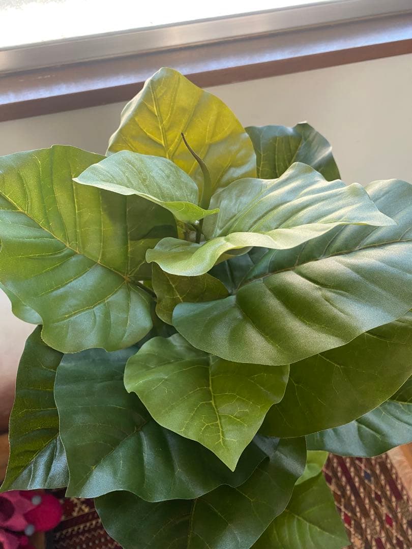 フェイクグリーン(人工観葉植物)