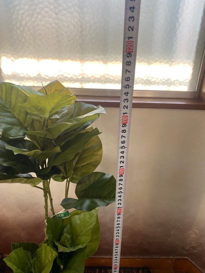 フェイクグリーン(人工観葉植物)