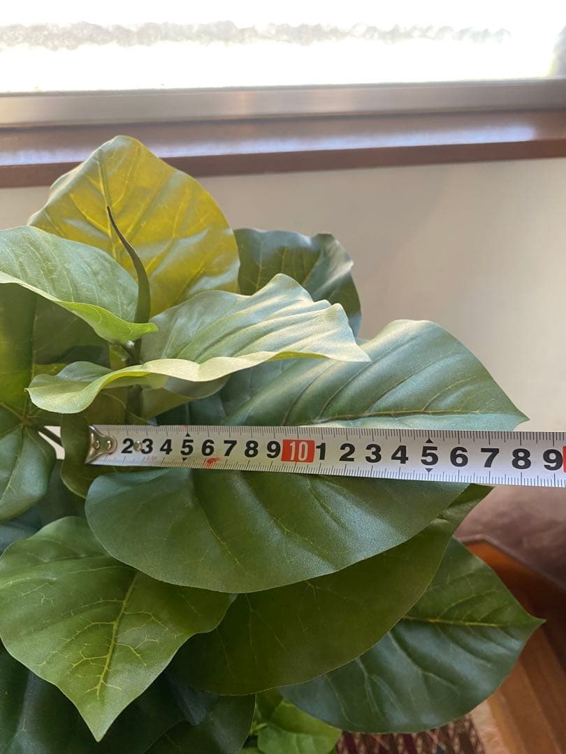 フェイクグリーン(人工観葉植物)