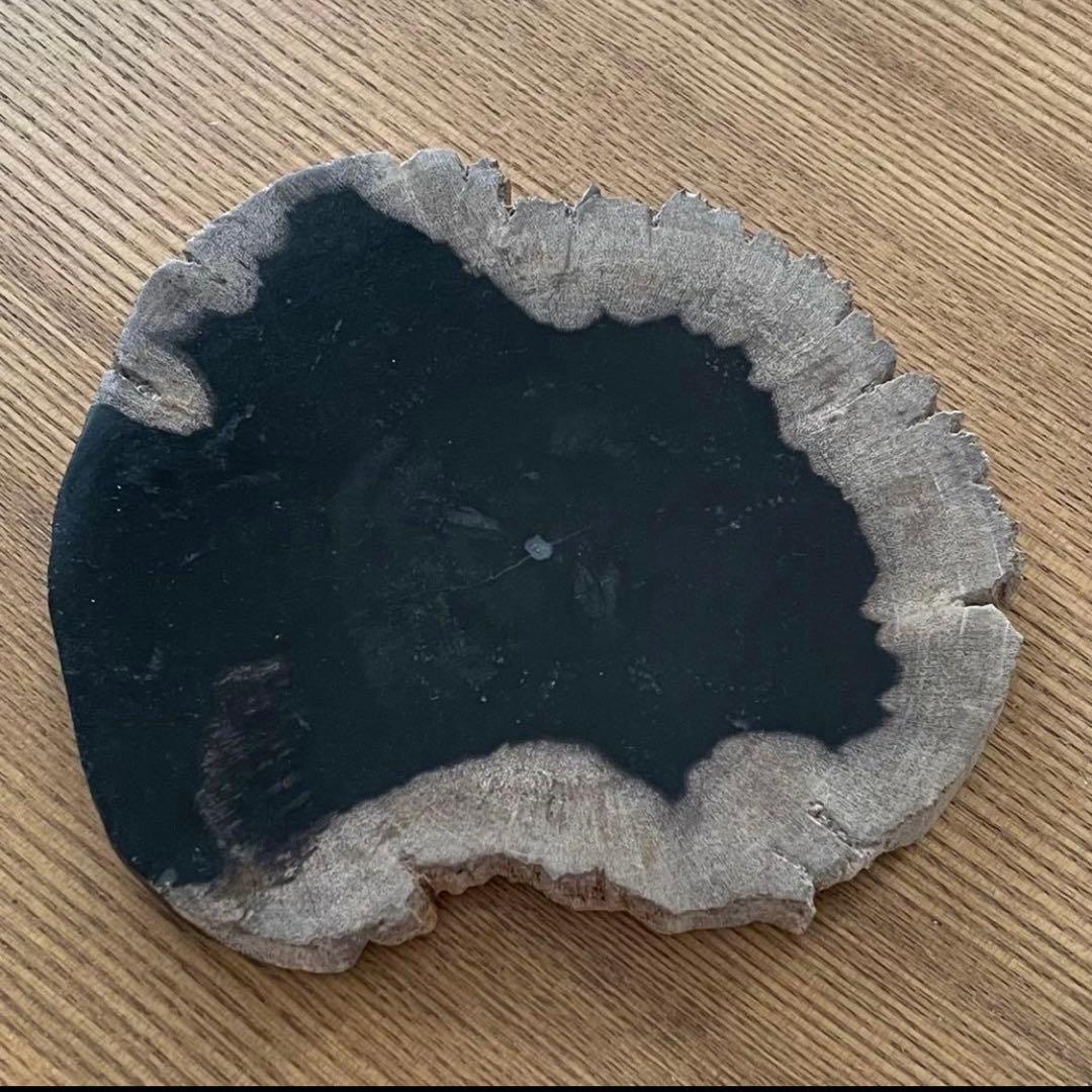 4点おまとめ/珪化木 木化石 ペトリファイドウッド