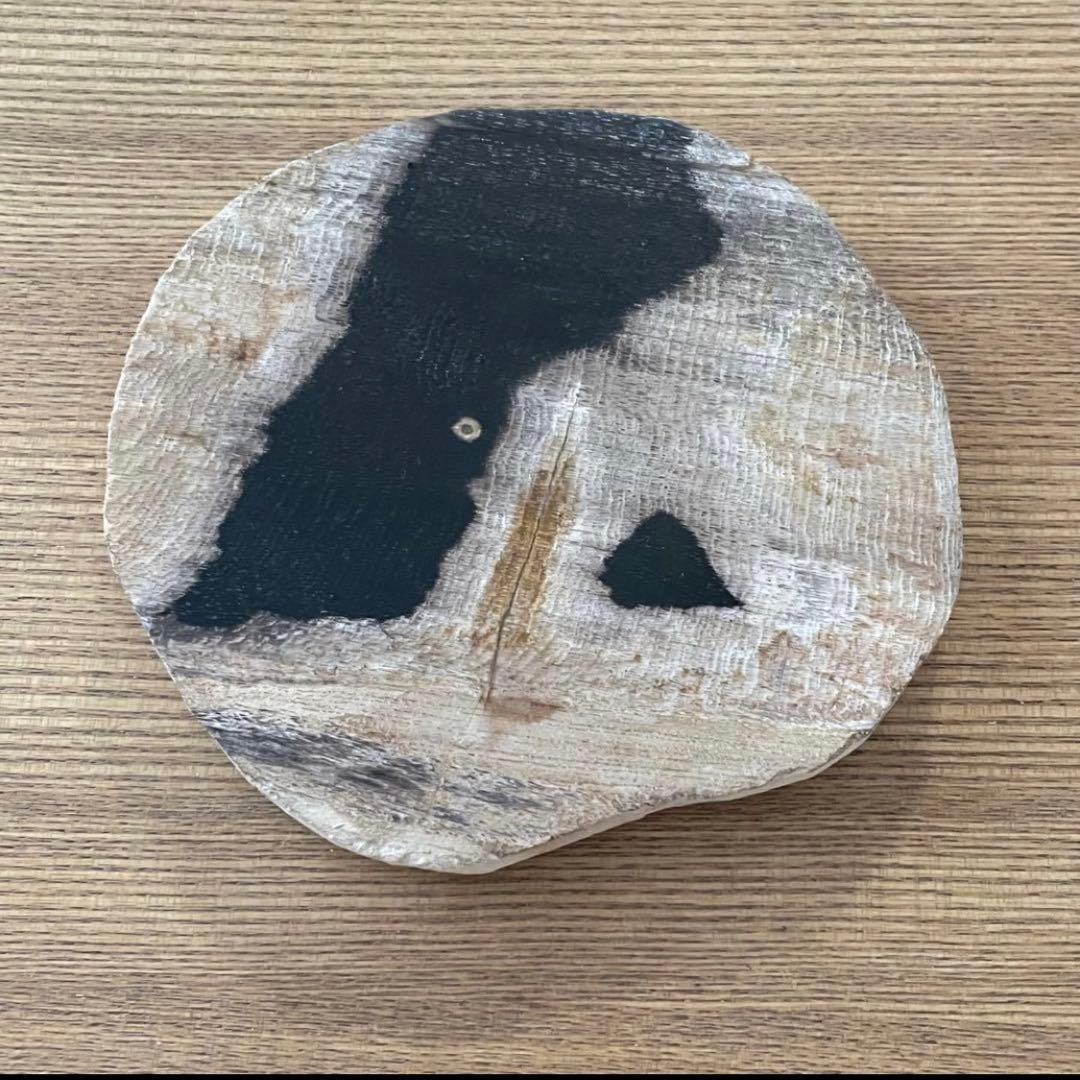 4点おまとめ/珪化木 木化石 ペトリファイドウッド