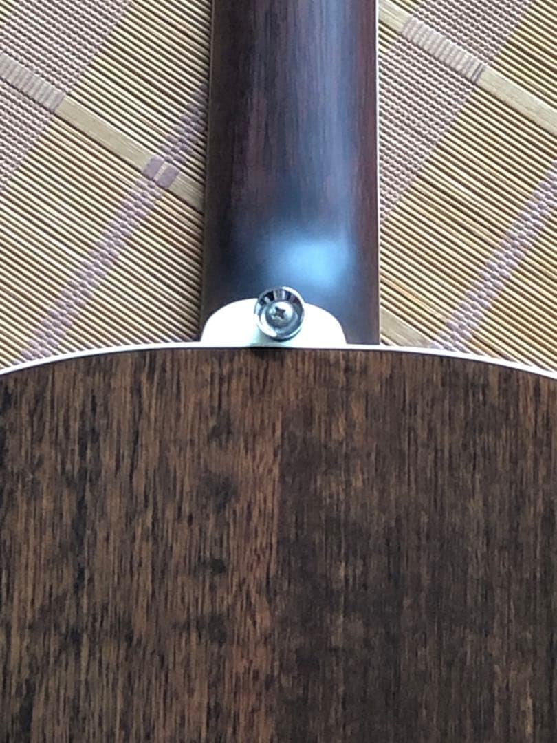 James ジェームス J450Aピックアップ