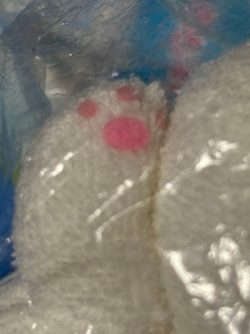 サンエックス　ソラネコ　なきごえする　ぬいぐるみ　マスコット　希少　2004