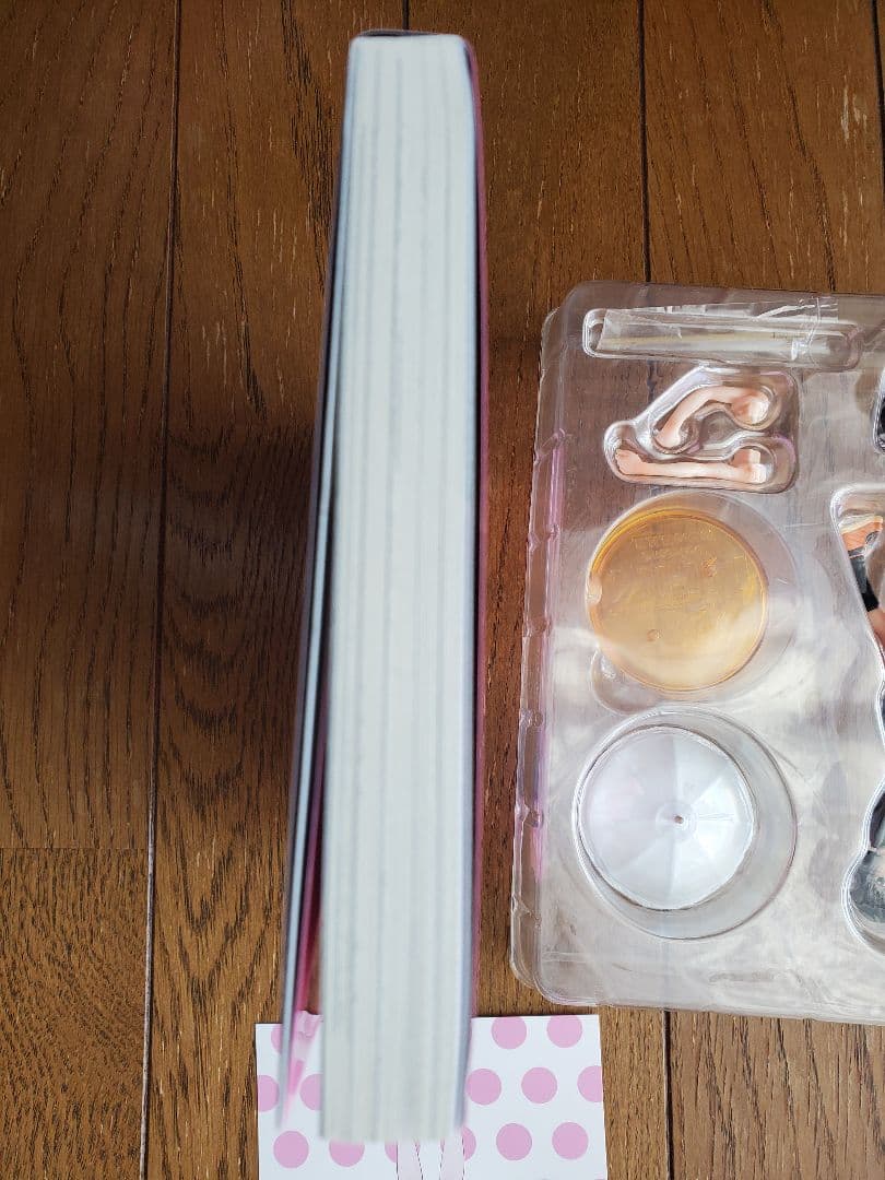 NHKにようこそ！ 中原岬 フィギュア　漫画