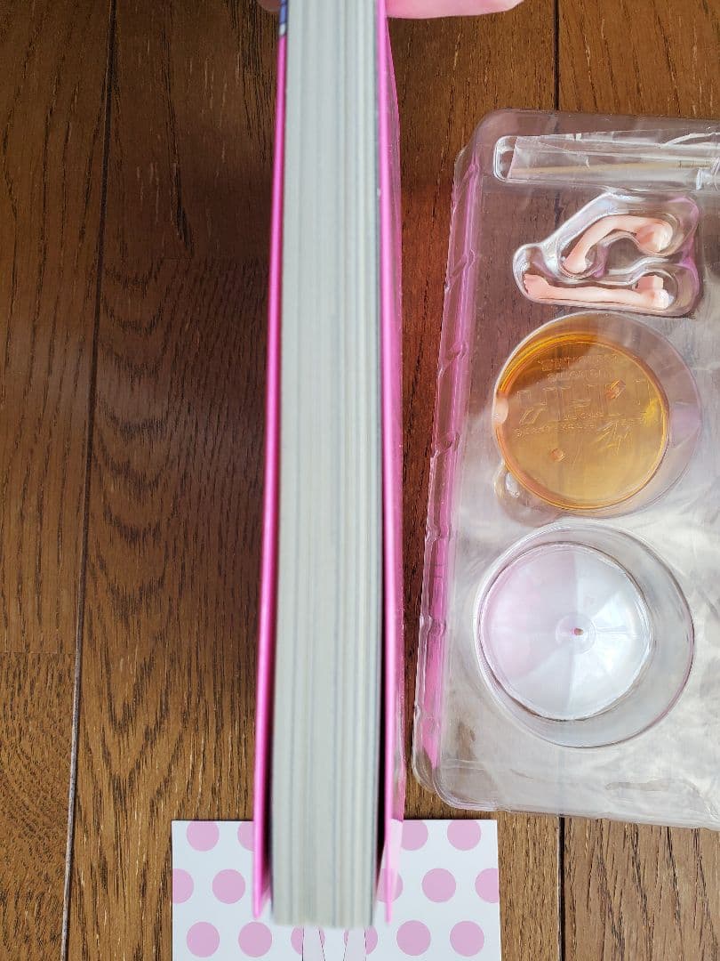 NHKにようこそ！ 中原岬 フィギュア　漫画