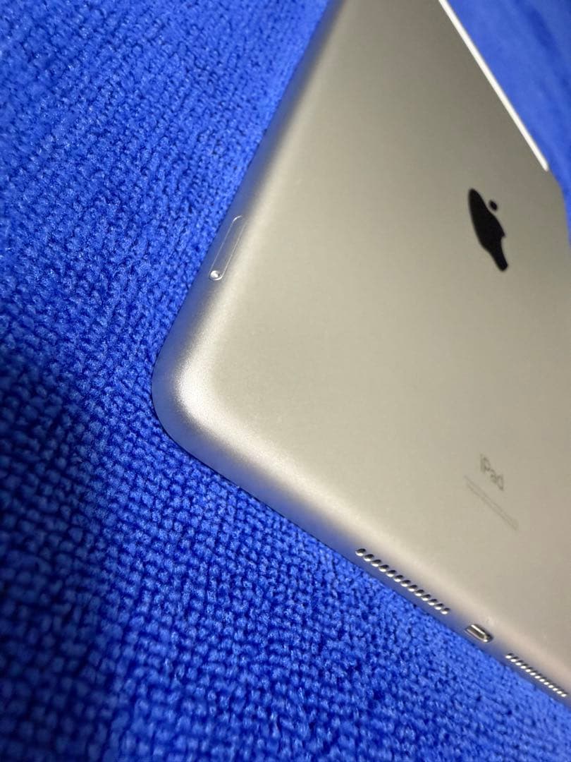 iPad (第8世代) Wi-Fi+Cellular SIMフリー 【ジャンク】