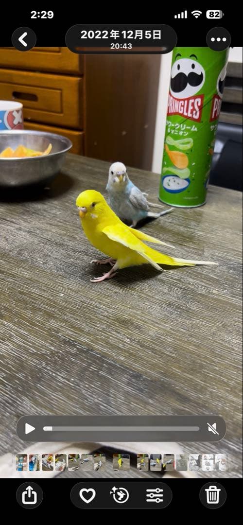 ぬまこ様確認様