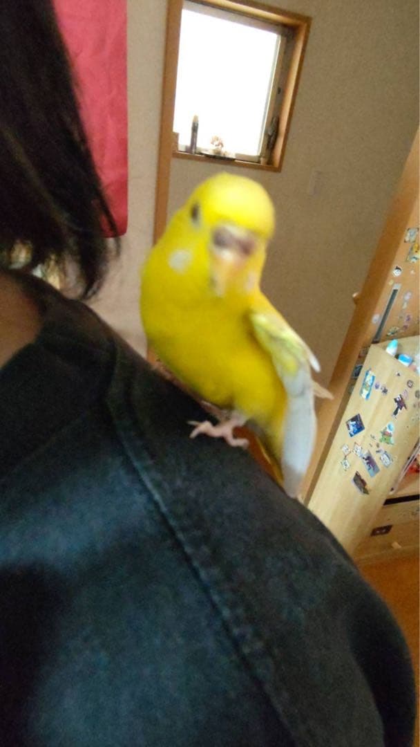 ぬまこ様確認様