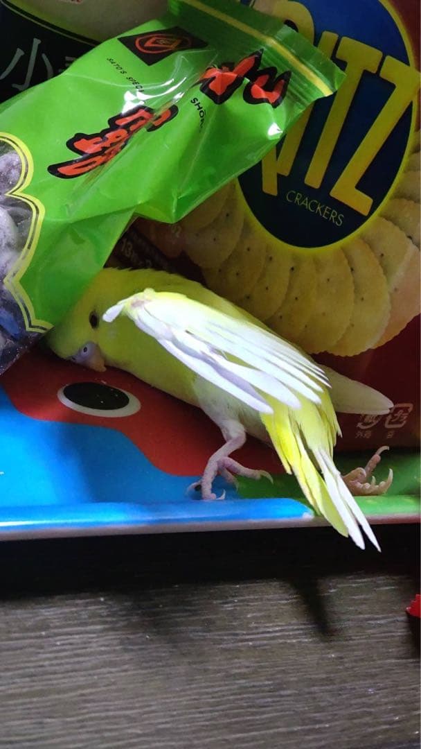 ぬまこ様確認様