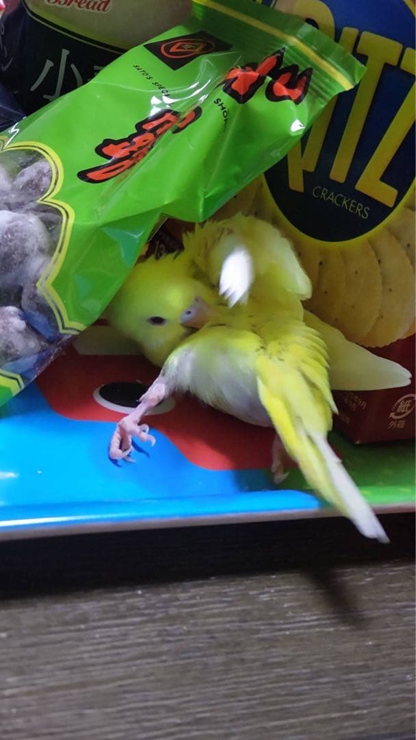 ぬまこ様確認様